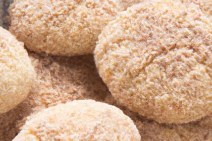 Deliciously Soft Gluten-Free Snickerdoodles to Savor Today