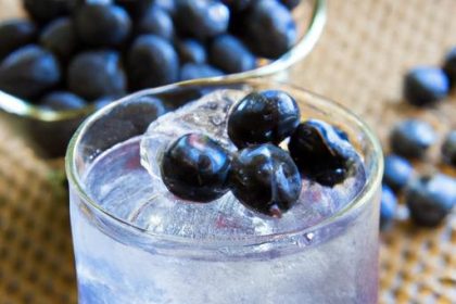 Blueberry Water: Refreshing Hydration with Antioxidant Power